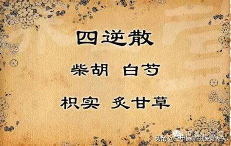 少陰意思|《中醫詞典》解釋「少陰」的意思